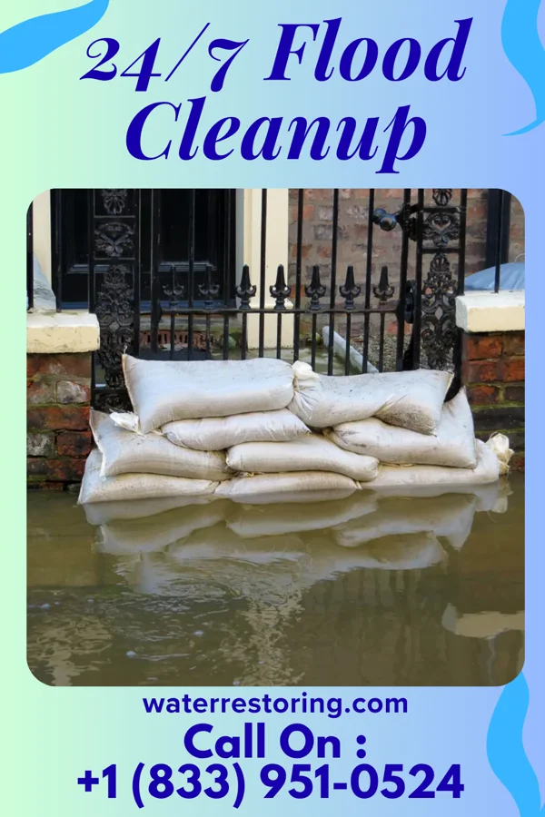 24/7 Flood Cleanup in McMullin, VA