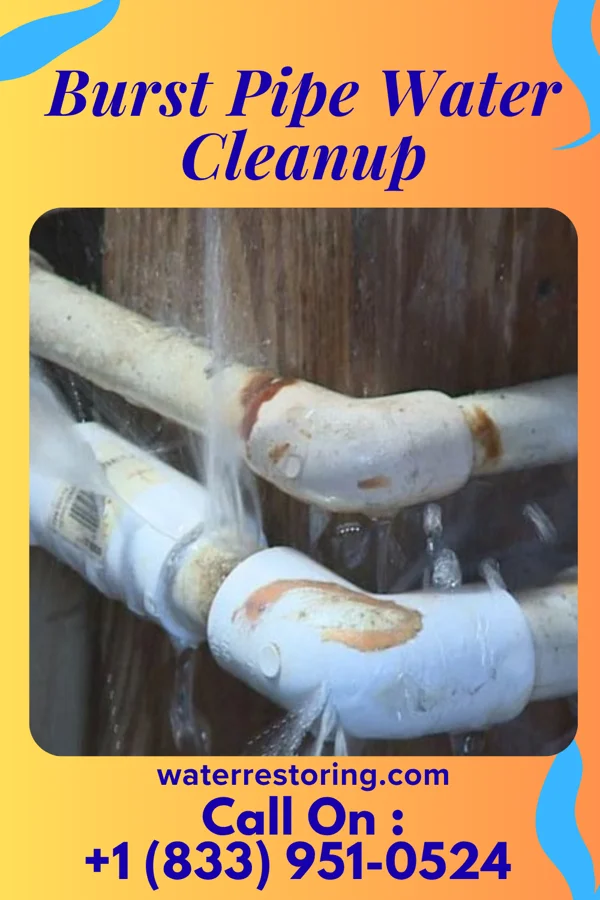 Burst Pipe Water Cleanup in McMullin, VA