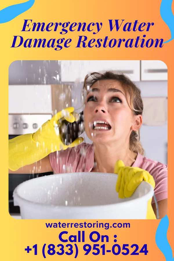 Emergency Water Damage Restoration in McMullin, VA