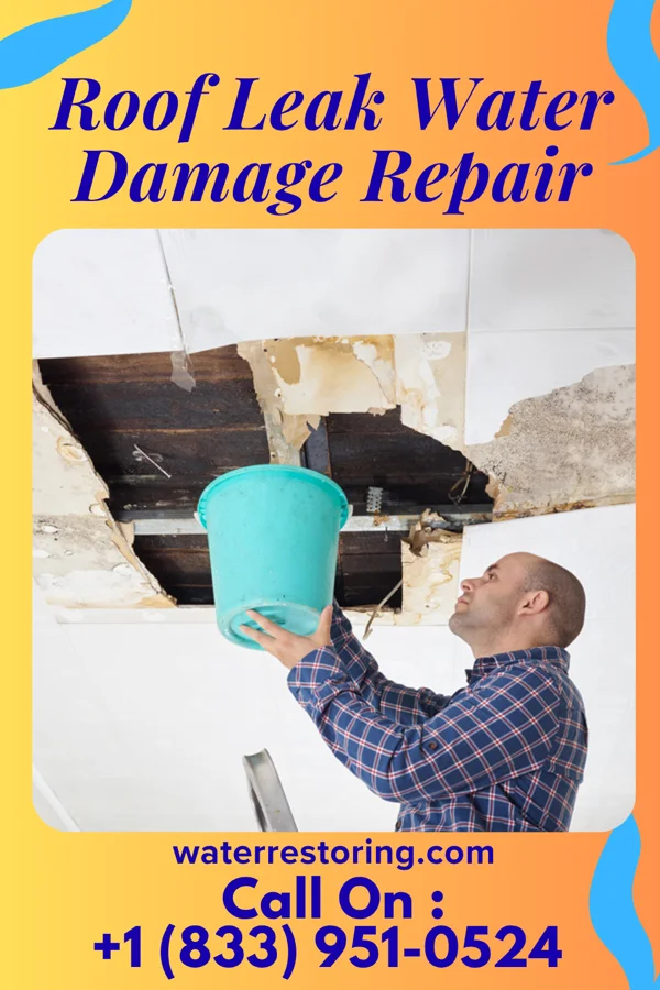 Roof Leak Water Damage Repair in McMullin, VA