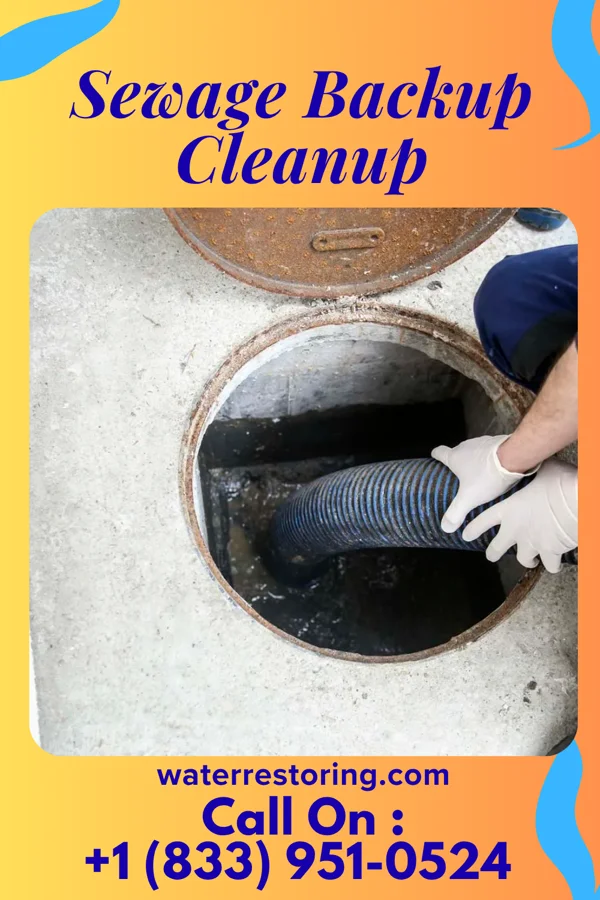 Sewage Backup Cleanup in McMullin, VA