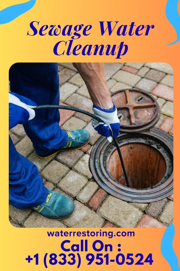 Sewage Water Cleanup in McMullin, VA