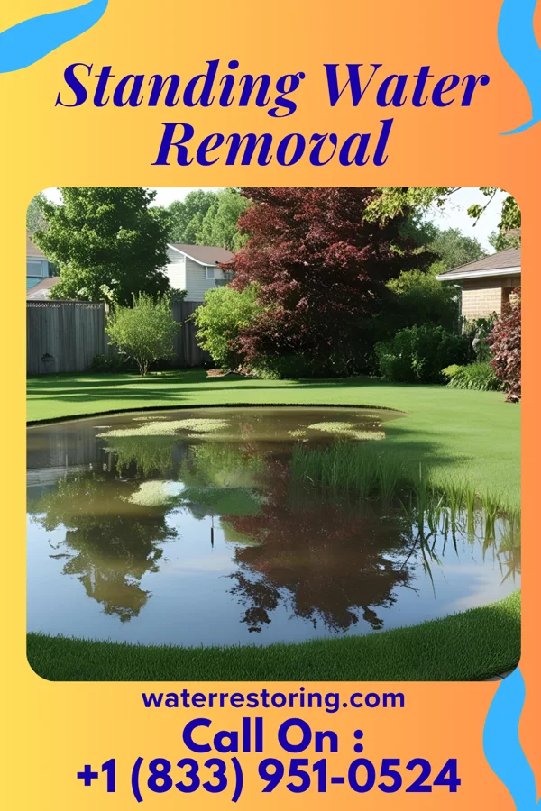 Standing Water Removal in McMullin, VA